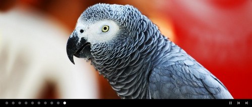 Birbirinden Gzel Bedava 30 Flash aplonu